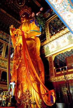 Buddha Statue in Lama Temple (Yonghe Lamasery)